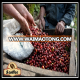 BEST OFFER VIETNAM ROBUSTA GREEN BEANS WHOLESALES